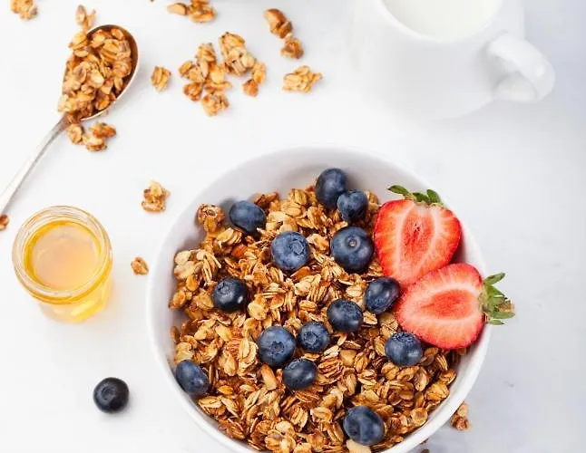 大康斯博品质酒店 酒店 康斯博